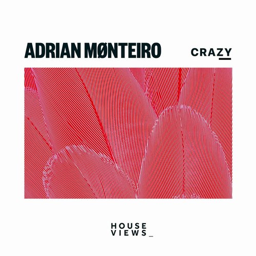 Adrian Mønteiro - Crazy [4066218083941]